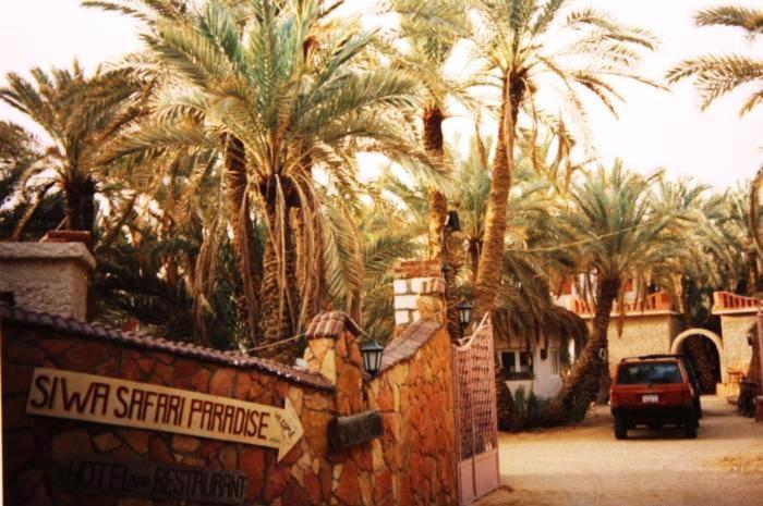 Siwa Paradise Siwa Oasis Eksteriør billede
